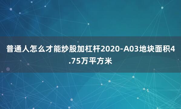 普通人怎么才能炒股加杠杆2020-A03地块面积4.75万平方米
