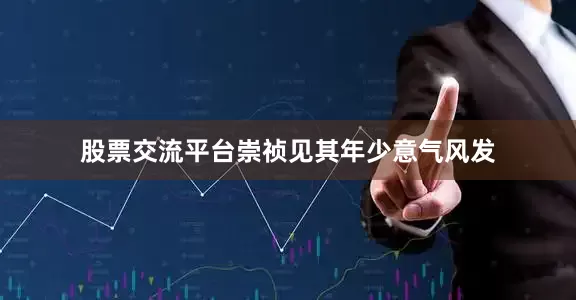 股票交流平台崇祯见其年少意气风发