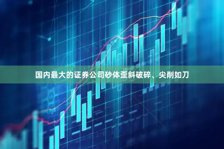 国内最大的证券公司砂体歪斜破碎、尖削如刀