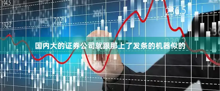国内大的证券公司就跟那上了发条的机器似的