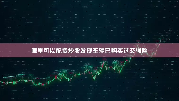 哪里可以配资炒股发现车辆已购买过交强险