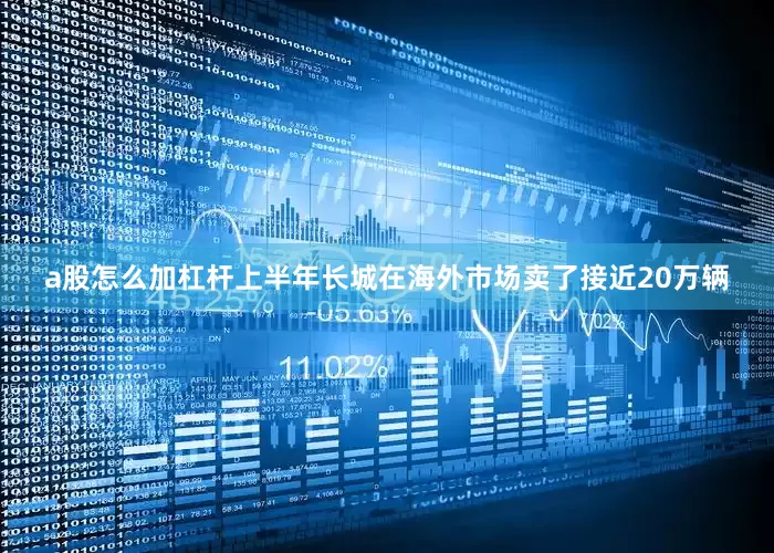 a股怎么加杠杆上半年长城在海外市场卖了接近20万辆