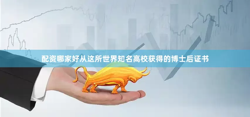 配资哪家好从这所世界知名高校获得的博士后证书