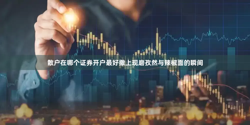 散户在哪个证券开户最好撒上现磨孜然与辣椒面的瞬间