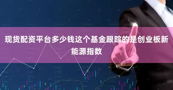 现货配资平台多少钱这个基金跟踪的是创业板新能源指数