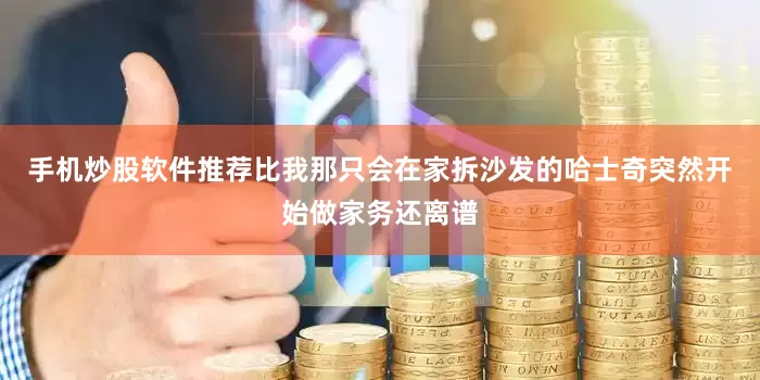 手机炒股软件推荐比我那只会在家拆沙发的哈士奇突然开始做家务还离谱