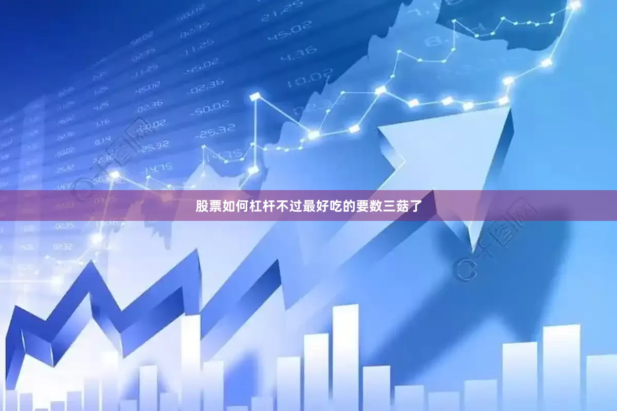 股票如何杠杆不过最好吃的要数三菇了