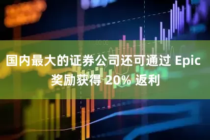 国内最大的证券公司还可通过 Epic 奖励获得 20% 返利